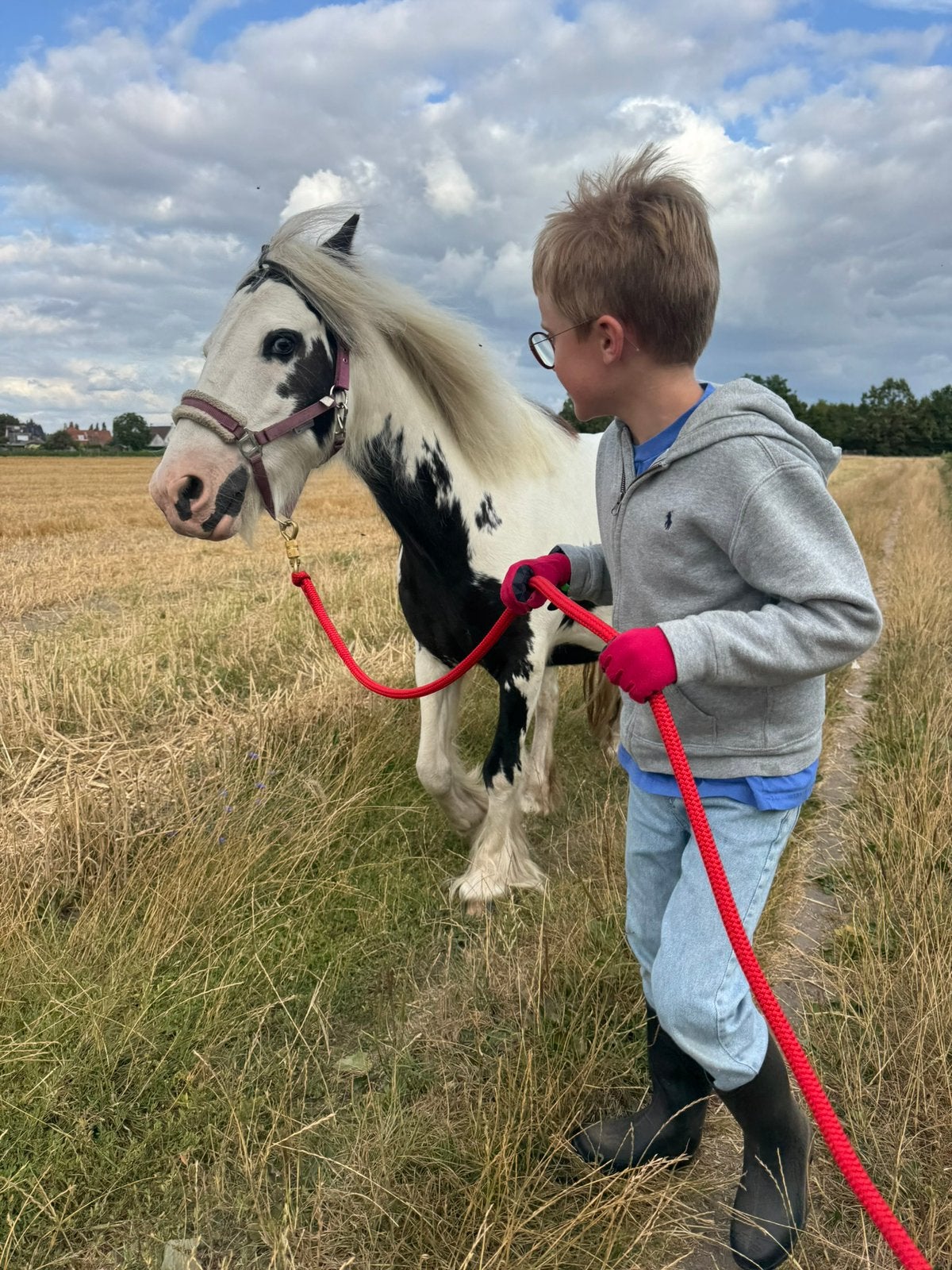 Tinker kinder B pony, Animaux & Accessoires, B