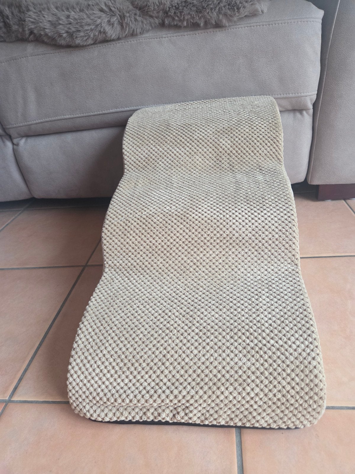 Procurez-vous un piège à 10€ pour un chien, Animaux & Accessoires, Enlèvement