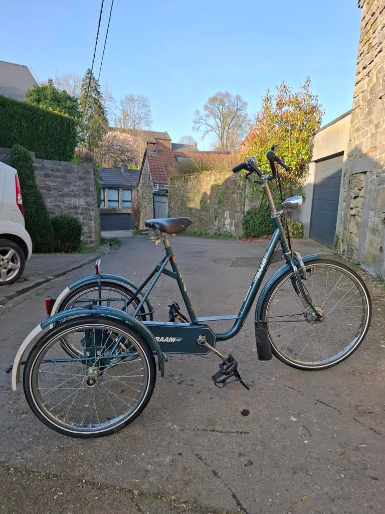 Tricycle Raam, Enlèvement