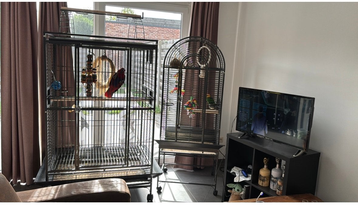 Vogelkooi te koop, Ophalen, Gebruikt, Vogelkooi