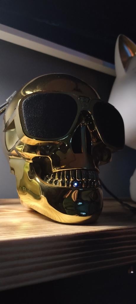 Aeroskull bluetooth speaker, Motoren, Ophalen