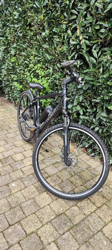 E-mtb elektrische mountainbike, Fietsen en Brommers, Hardtail, Ophalen, Heren