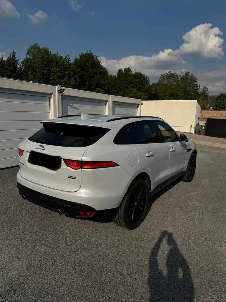Première édition de la Jaguar F Pace 3.0 AWD, Autos, Jaguar, Cuir, Essai à domicile, Achat, Entreprise