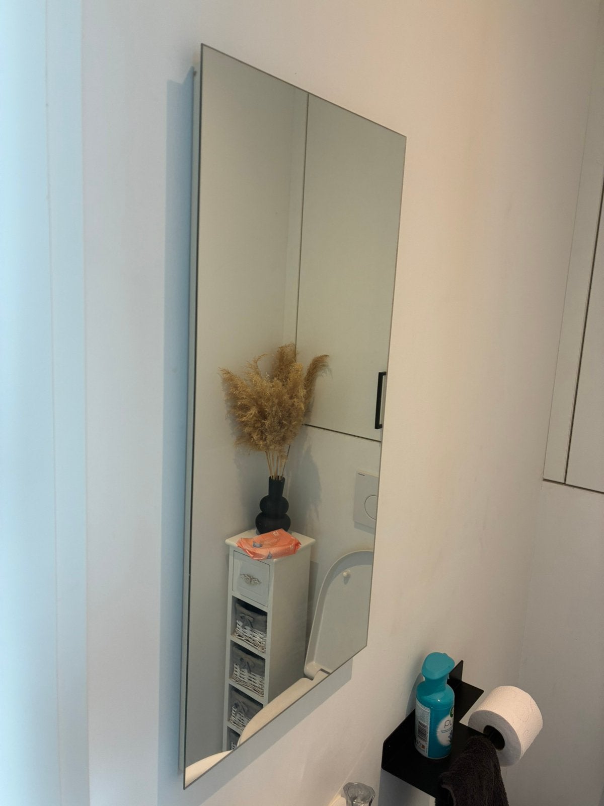 Miroir soigné — 71x35 cm (bon état), Moins de 100 cm, Enlèvement, Utilisé, Rectangulaire