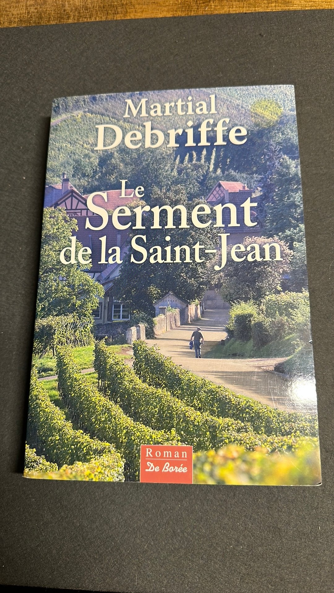 Le serment de la Saint-Jean de Martial Debriffe, Livres, Romans, Enlèvement ou Envoi, Comme neuf