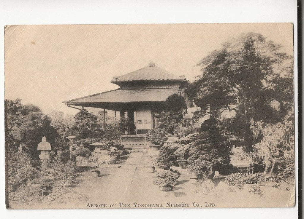 early 1900 japan publi card nursery  yokohama, Verzamelen, Postkaarten | Buitenland, Ophalen of Verzenden, Voor 1920, Ongelopen