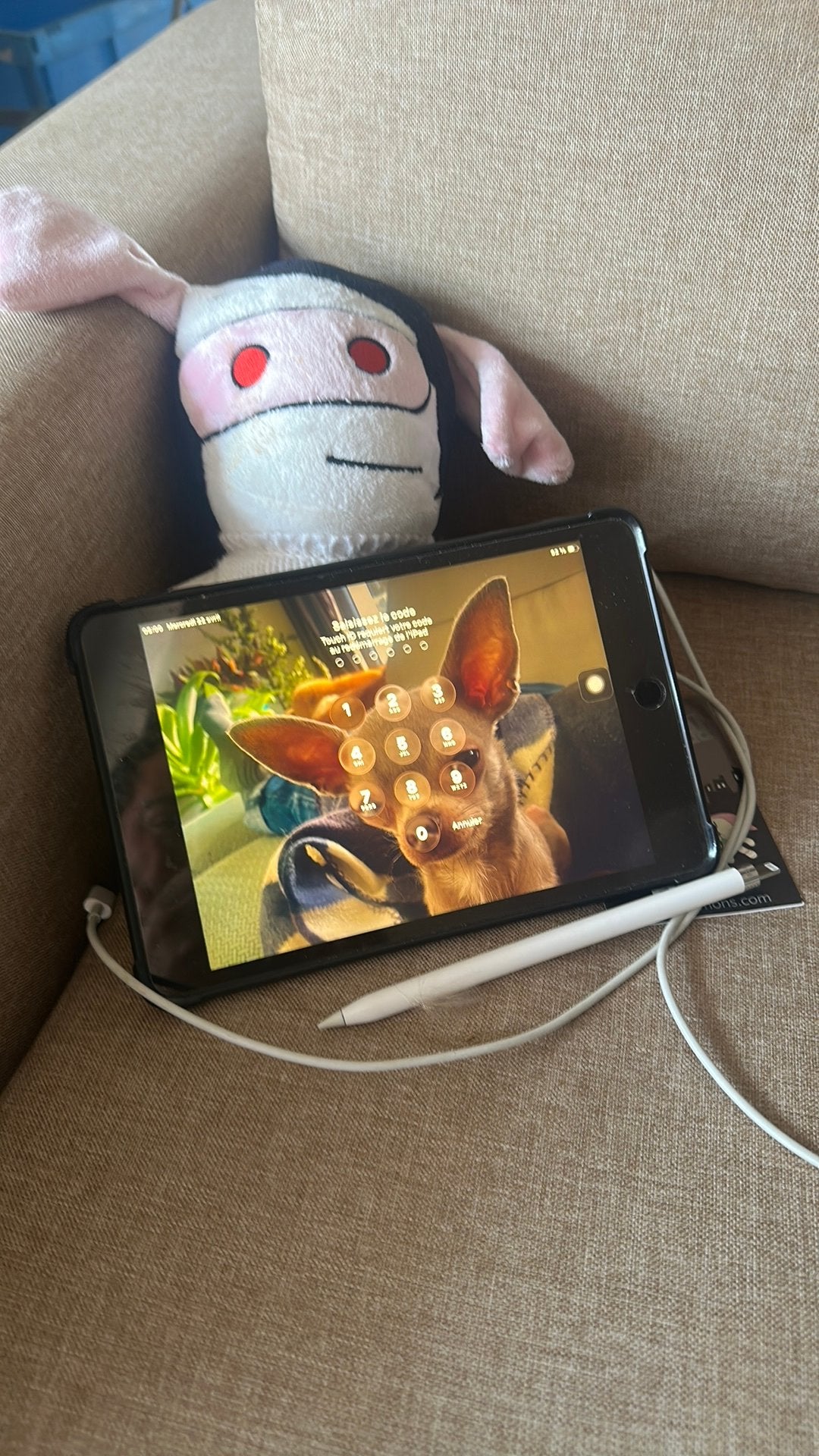 iPad mini 5 LTE 256 giga, Elektronische apparatuur, Wekkers, Zo goed als nieuw, Ophalen of Verzenden