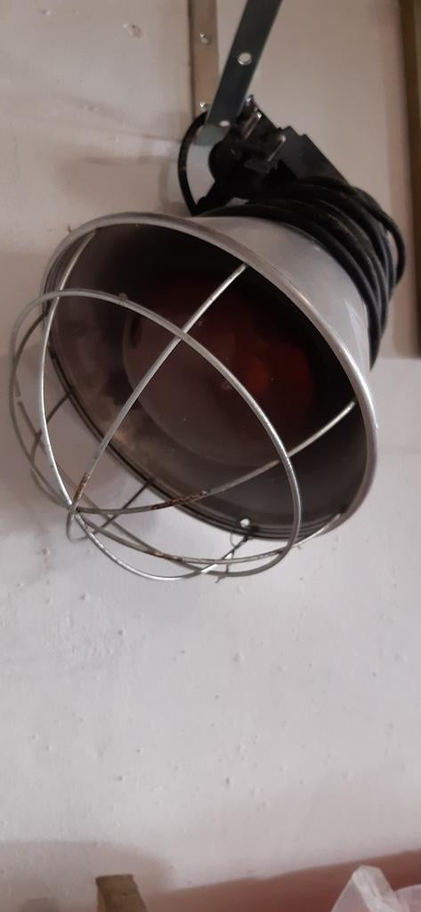 Gloeilamp, Enlèvement