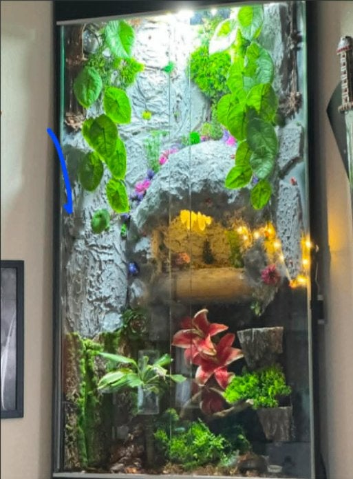 Terrarium 55cmx160cm – custom background, Dieren en Toebehoren, Reptielen en Amfibieën | Toebehoren, Ophalen, Gebruikt, Terrarium of Paludarium