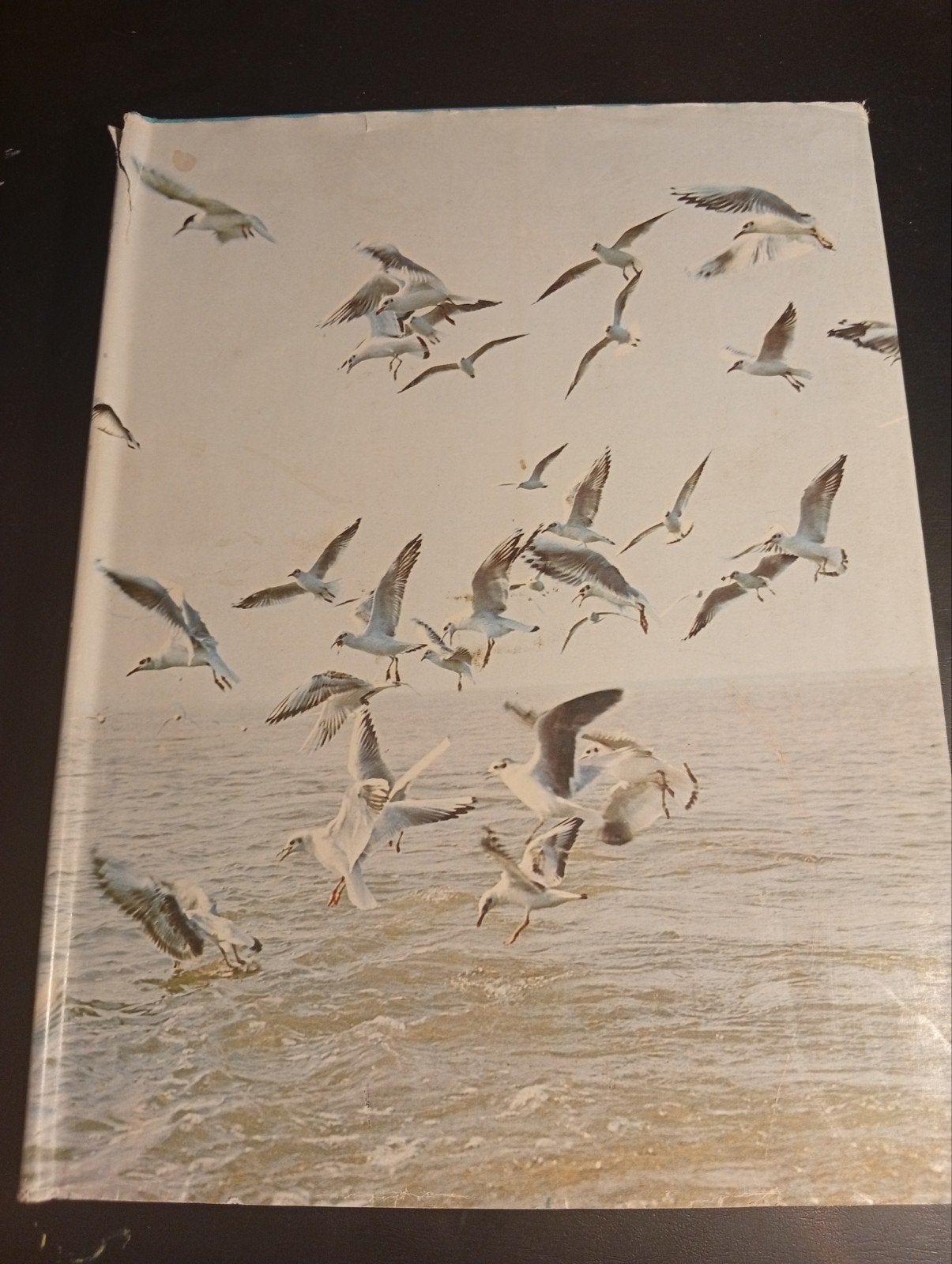 Natuur en Vogelreservaten Van België, Livres, Nature, Enlèvement, Utilisé, Edgard Kesteloot