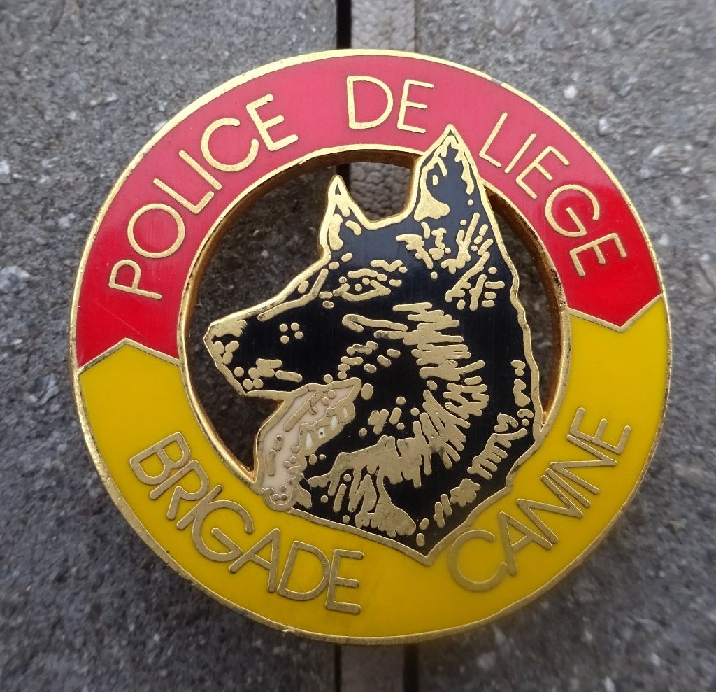 BELGIQUE: POLICE VILLE DE LIEGE - INSIGNE PINS, Collections, Envoi, Gendarmerie, Emblème ou Badge
