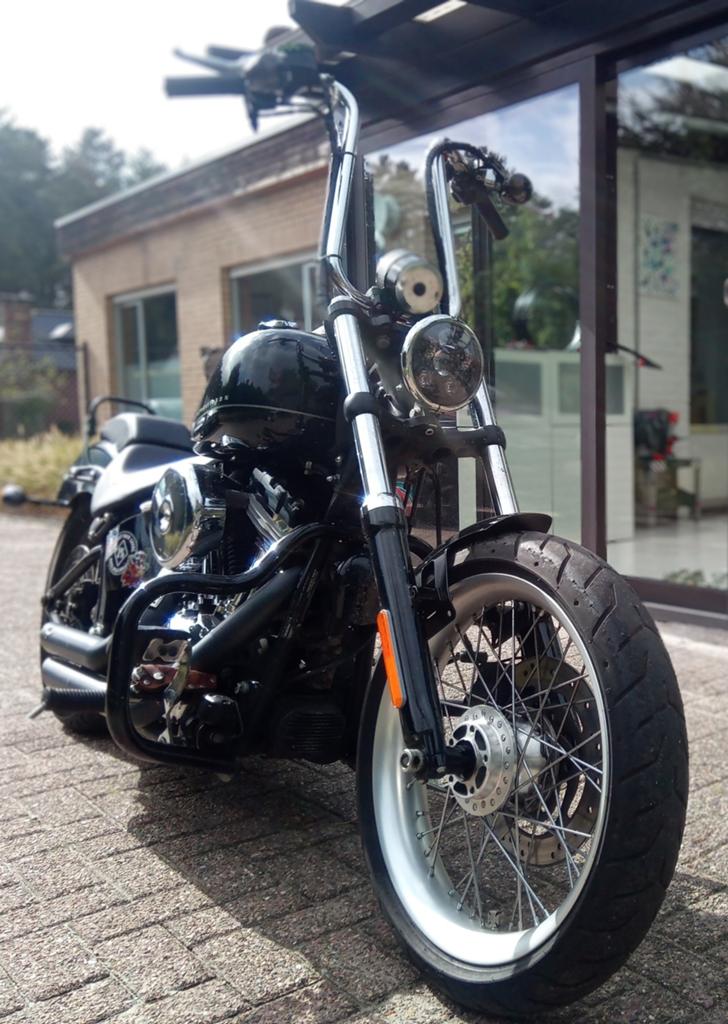 Softail, Motoren, Particulier, Chopper, ABS