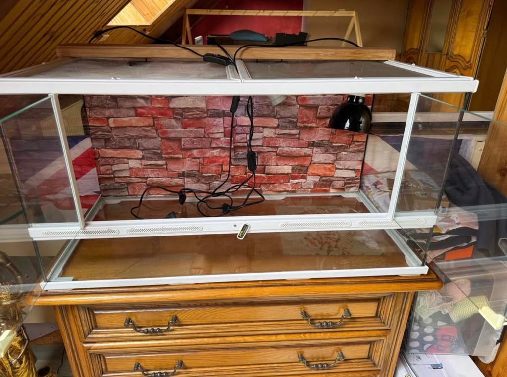 Terrarium, Animaux & Accessoires, Reptiles & Amphibiens | Accessoires, Utilisé, Terrarium ou Paludarium, Enlèvement