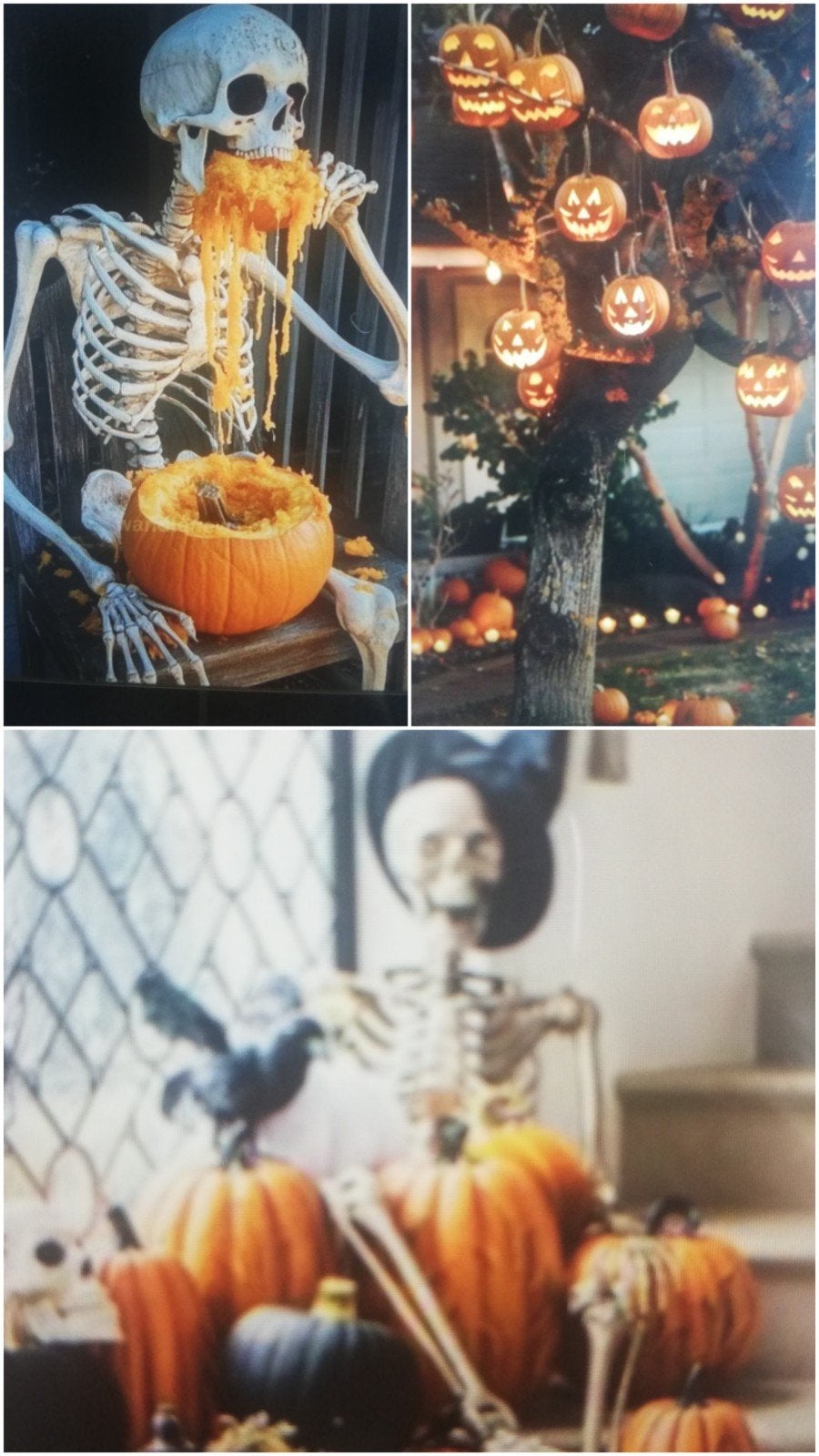 Echange mes articles contre déco Halloween, Hobby & Loisirs créatifs, Enlèvement