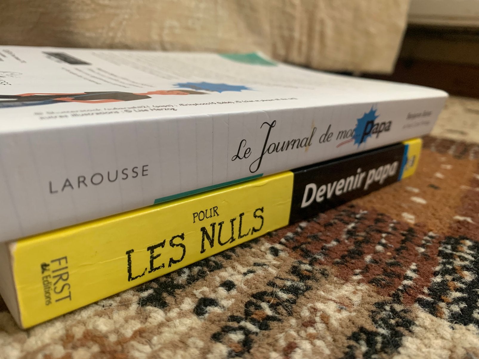 Lot de deux livres de theorique pour parent papa, Livres, Enlèvement, Comme neuf