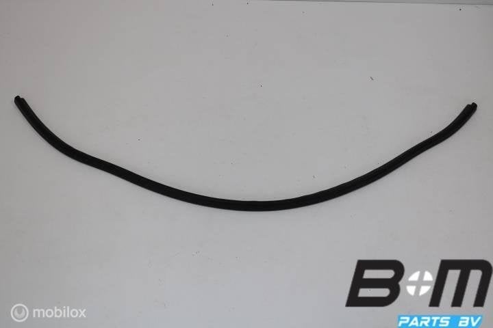 Parafaanrubber VW Golf 6 1K0823723C, Utilisé