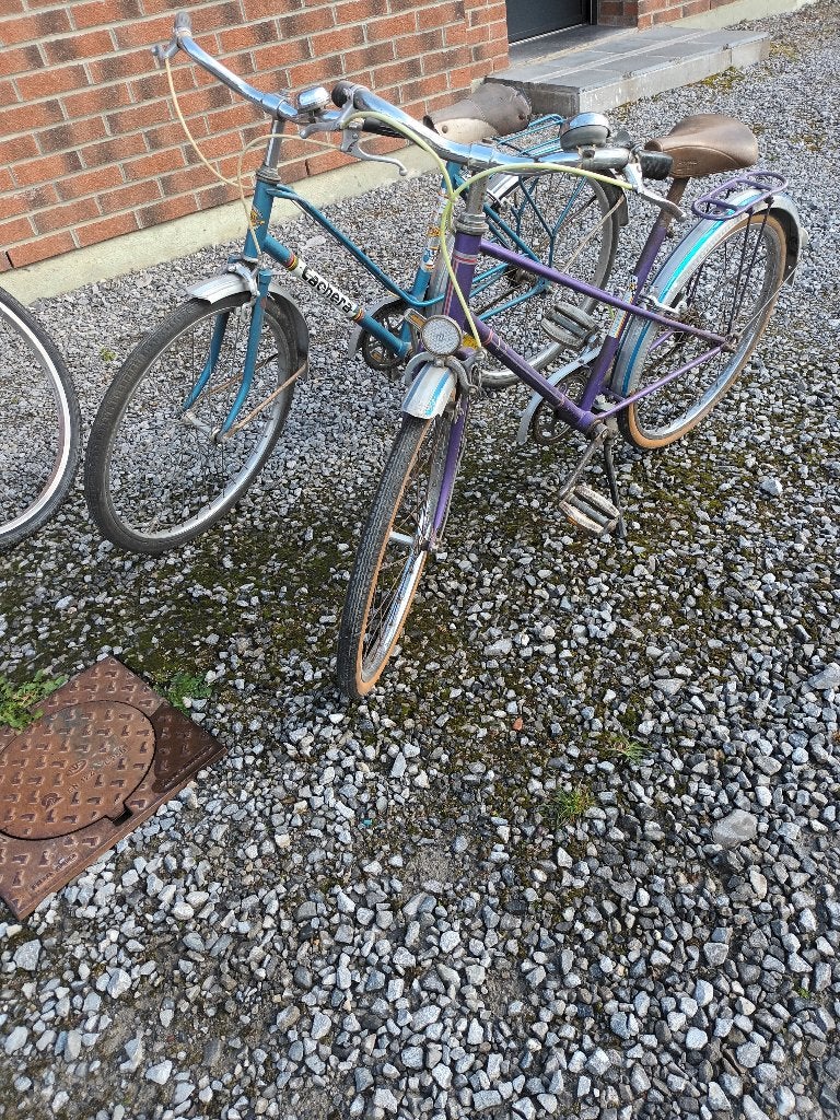Vieux vélos, Enlèvement