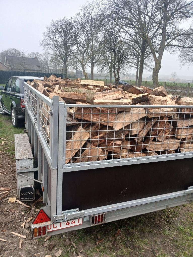 Brandhout eik beuk, Tuin en Terras, 6 m³ of meer, Ophalen, Beukenhout, Blokken