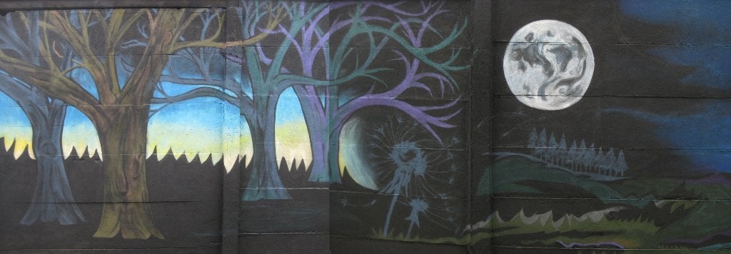 Heb je saaie tuinmuren,graffiti stijl, Tuin en Terras, Ophalen, Zo goed als nieuw, Overige typen