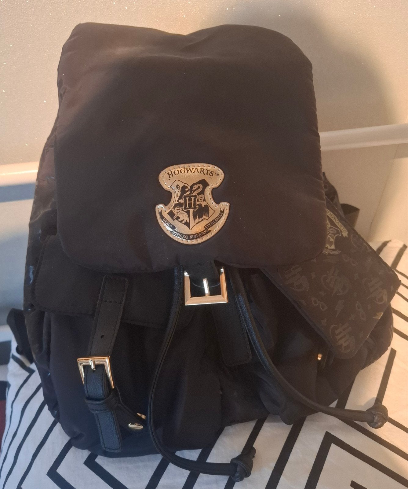 Harry Potter Hogwarts & Slytherin rugzak, Enlèvement