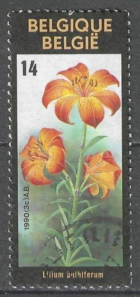 Belgie 1990 - Yvert/OBP 2359 - Gentse Floralien VIII (ST), Postzegels en Munten, Verzenden, Gestempeld, Gestempeld