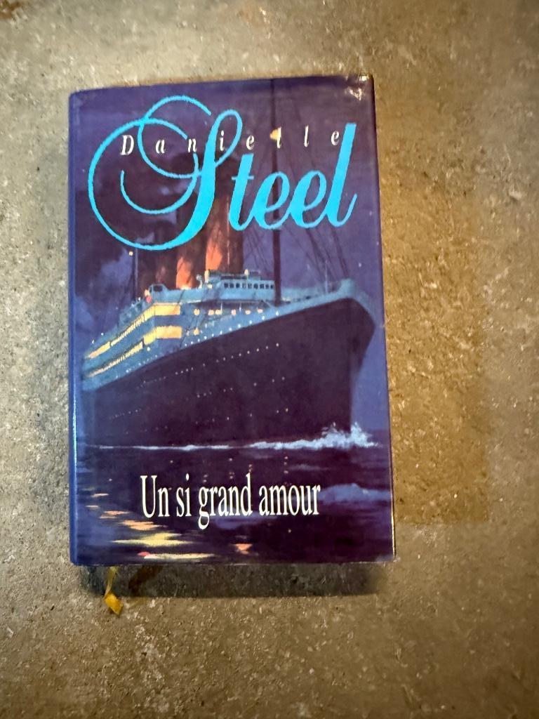Roman Un si grand amour, Danielle Steel, Enlèvement ou Envoi, Neuf, Danielle Steel