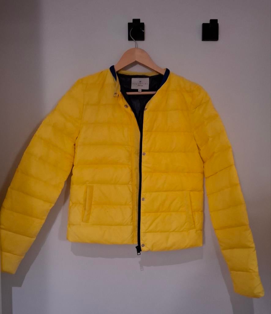 Damesjas maat 38 essentiel, Kleding | Dames, Ophalen of Verzenden, Maat 38/40 (M)