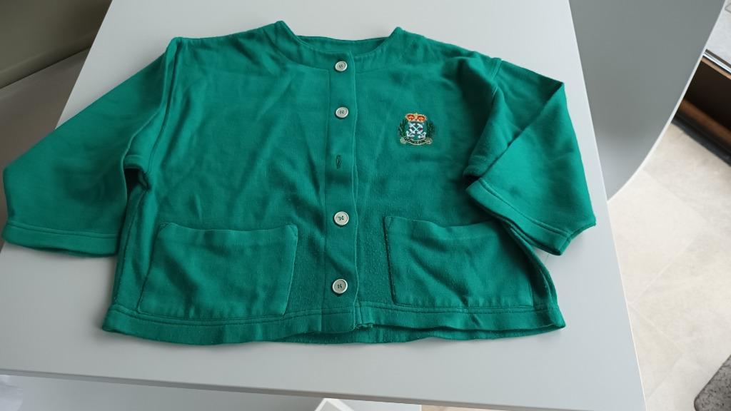 Groen vestje - Maat 110, Ophalen of Verzenden, Gebruikt, Meisje, Trui of Vest