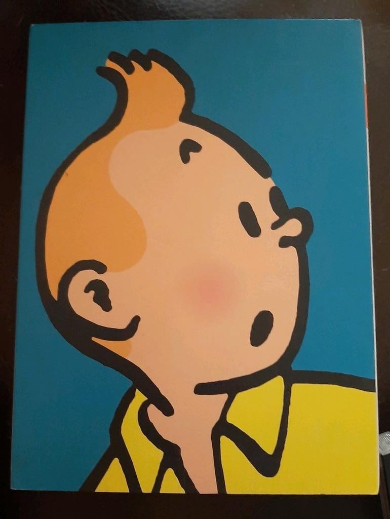 Tintin l'integrale coffret 7 dvds, CD & DVD, Enlèvement ou Envoi, Comme neuf, Coffret