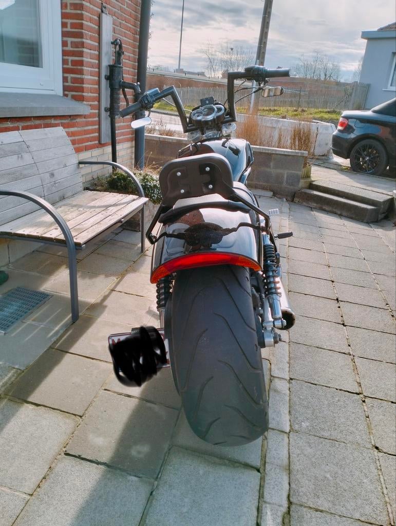 Harley Davidson vrod muscle, Particulier, Autre