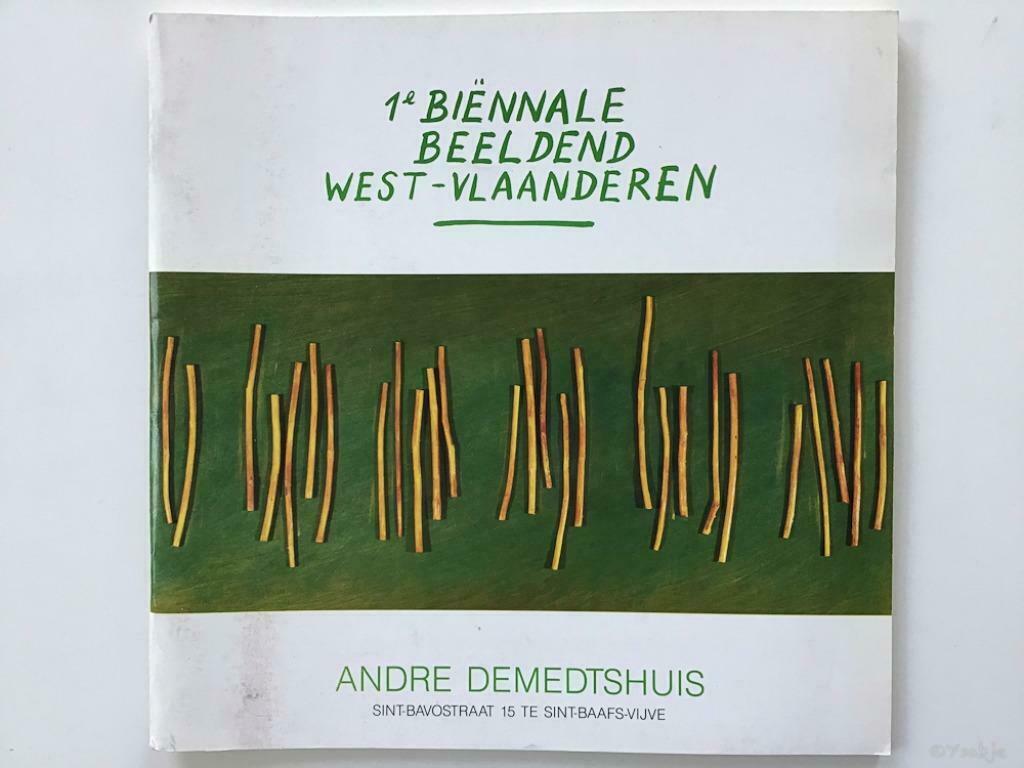 1e Biënnale Beeldend West-Vlaanderen, Andre Demedtshuis, Enlèvement ou Envoi