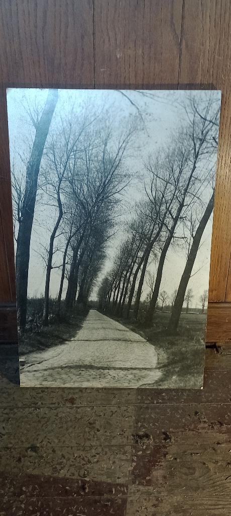 Zwart-witfoto op hout - Landschapspad 38x58, n88, Antiek en Kunst, Ophalen of Verzenden, Foto
