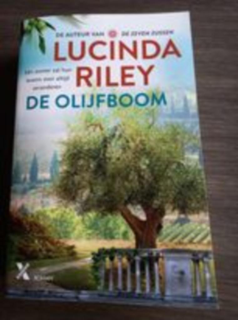 Boek: De olijfboom - Lucinda Riley, Ophalen of Verzenden, Gelezen, Lucinda Riley