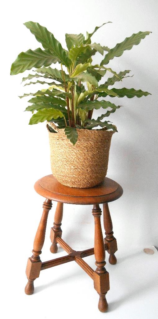 Antiek plantentafeltje of houten kruk, Antiek en Kunst, Curiosa en Brocante, Ophalen of Verzenden