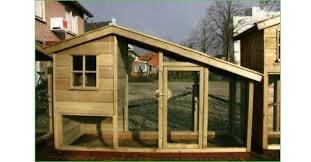 Grote verblijven duurzaam en op maat op voorraad, Januari, Mannelijk, Cavia