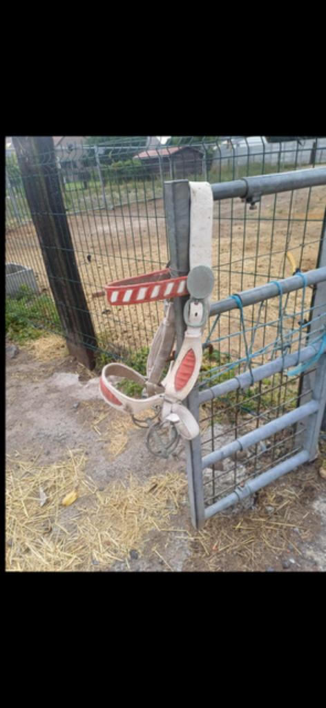 A vendre selles et matériels pour chevaux de trait, Enlèvement, Utilisé, Autres espèces
