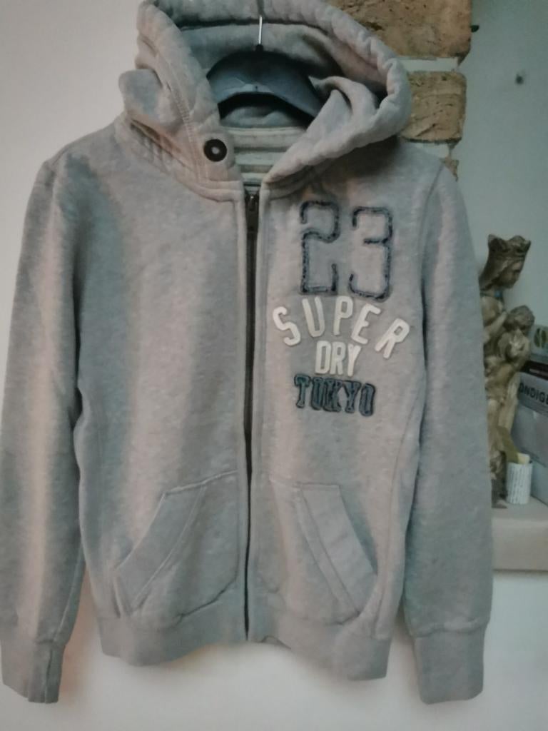 Heel mooie grijze hoody sweater van Super Dry, Ophalen of Verzenden, Zo goed als nieuw, Jongen of Meisje, Trui of Vest