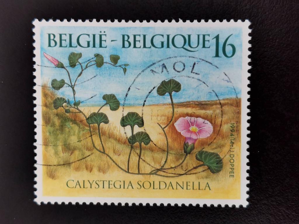 Belgique 1994 - fleurs sauvages - liseron des dunes, Enlèvement ou Envoi, Affranchi