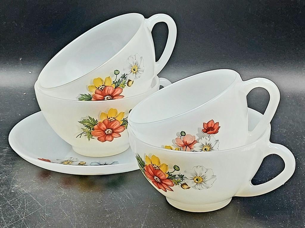 Lotje Arcopal "Anemone" servies, Ophalen