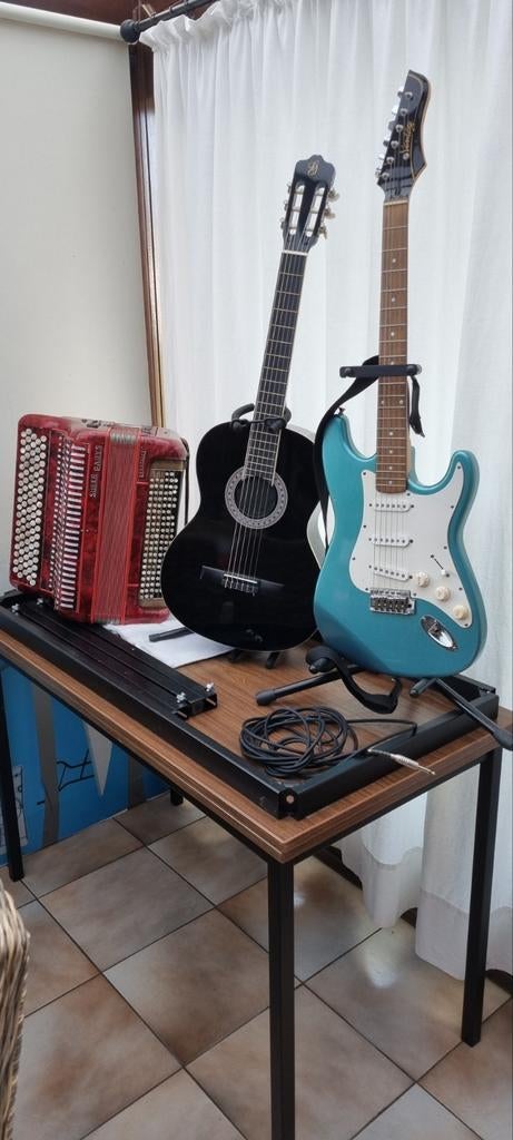 accordéon, guitare rythmique, guitare électrique, tout jouer, Enlèvement, Comme neuf