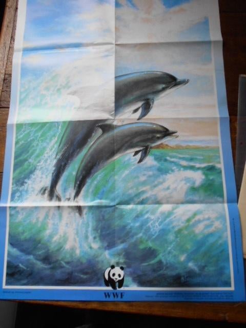 cartes anciennes neuves, iran, dauphins, etc., Enlèvement ou Envoi, Utilisé, Autres régions, Carte géographique