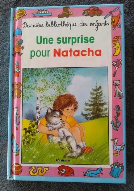 "Une surprise pour Natacha" Jean-Jacques Bilstein (2000), Livres, Livres pour enfants | Jeunesse | Moins de 10 ans, Utilisé, Fiction général