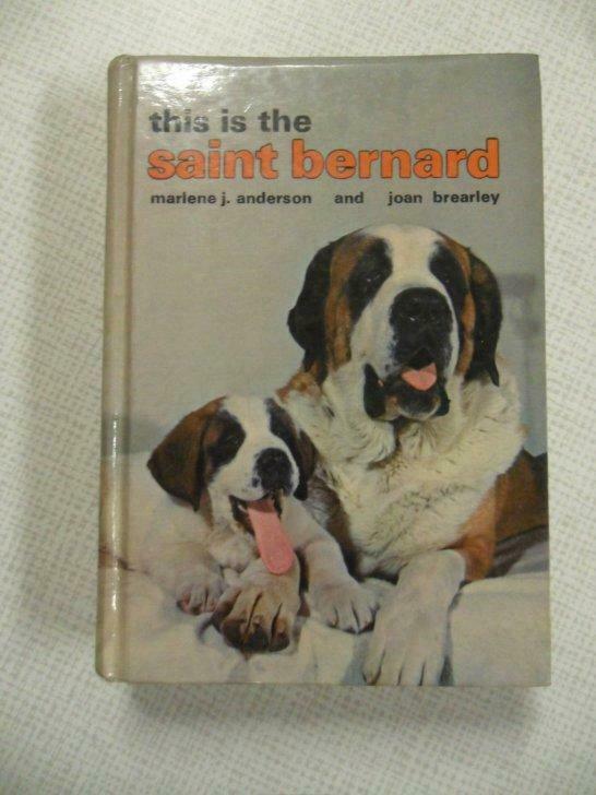 this is the saint bernard, Livres, Animaux & Animaux domestiques, Utilisé, Enlèvement ou Envoi