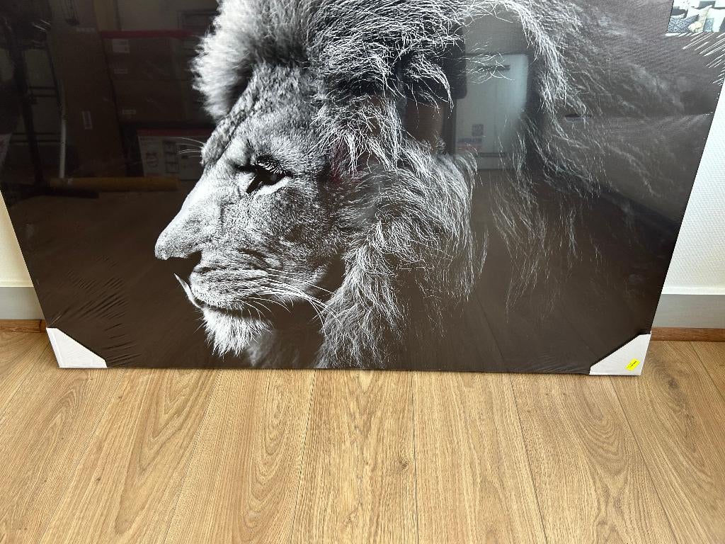 Toile imprimee lion, Enlèvement