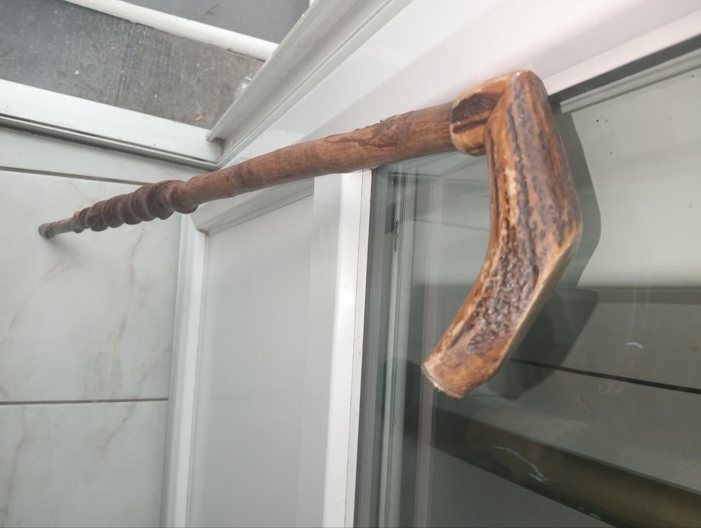 Canne tortueux ( 86 cm )