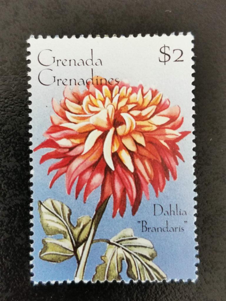 Grenadines (GRE) 1996 - bloemen  - dahlia *, Ophalen of Verzenden, Postfris, Noord-Amerika