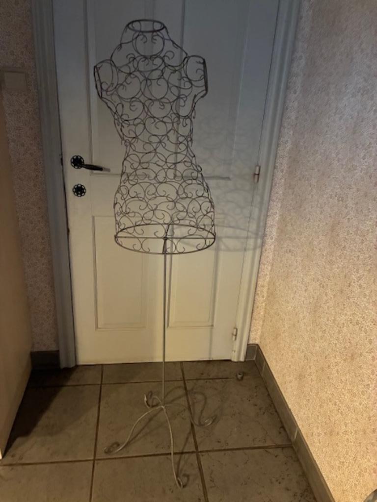 Mannequin en métal, Enlèvement