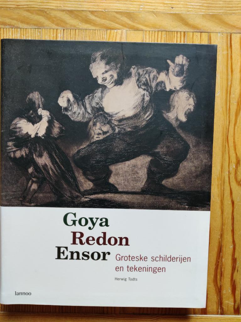 Goya Redon Ensor, Ophalen of Verzenden, Gelezen, Herwig Tots