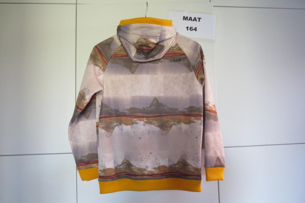Snowboard /skivest met kap 164 Wed'ze Decathlon. Foto 8939, Ophalen of Verzenden, Zo goed als nieuw, Jas, Jongen
