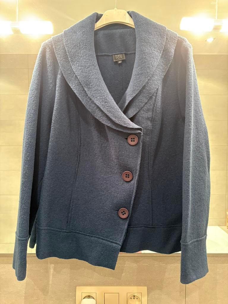 Petrol-kleurig wollen vestje van Green Ice (42)., Ophalen, Blauw, Maat 42/44 (L), Zo goed als nieuw